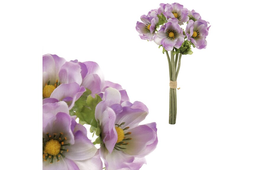 Puget 6 anemónek KUM3414