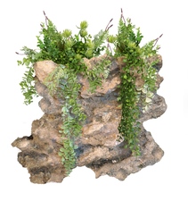 Skála s umělou vegetací L