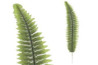 Květina umělá KU4220, list kapradí