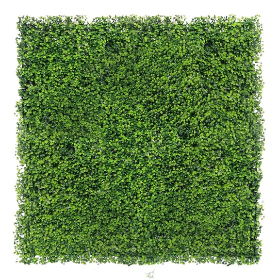 Vertikální zahrada Rzesa UV