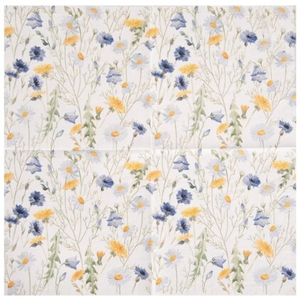 Snímek obrazovky 2025-05-19 131010.png