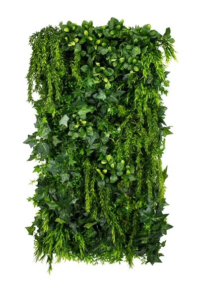 Vertikální zahrada Green Ivy
