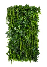 Vertikální zahrada Green Ivy