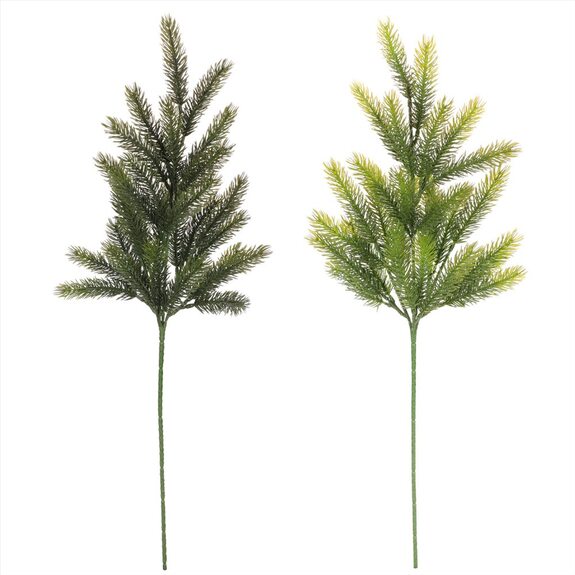 Smrková větev, mix 2 druhů.