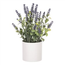 Levandule v obalu, bílý plastový obal SG7327