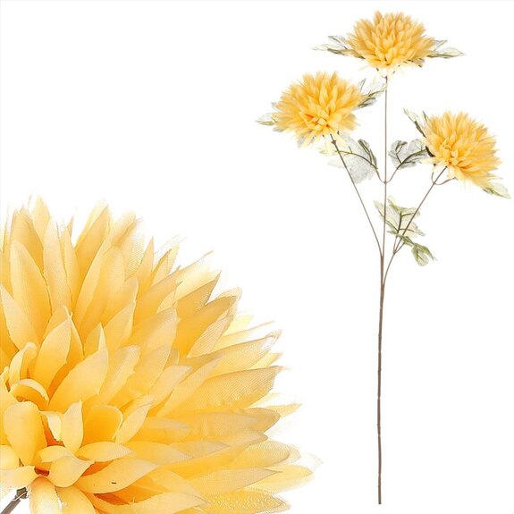 Chryzantéma 3-hlavá NL0145