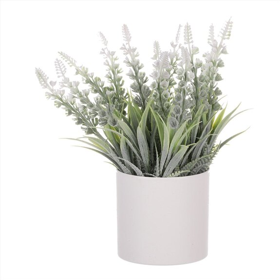 Vřes v obalu SG7328 šedivý