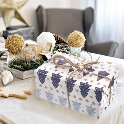 Snímek obrazovky 2024-12-11 151715.png