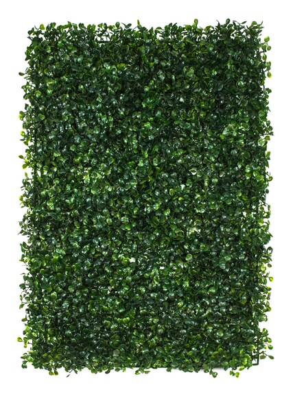 Vertikální zahrada Zimostráz