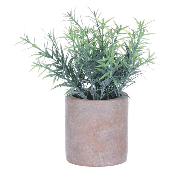 Rozmarýn v obalu, terakotový obal SG7332