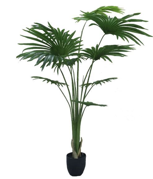 Umělý dekorativní strom - WASHINGTONIA
ROBUSTA GD4305