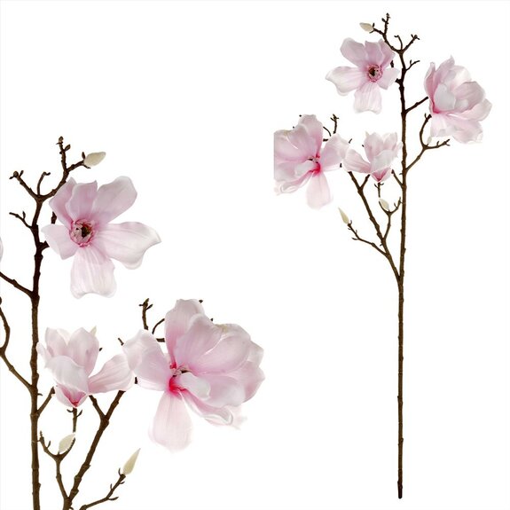 Magnolie, 4 květy UKK211