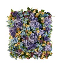 Obraz z růži - Flower fusion