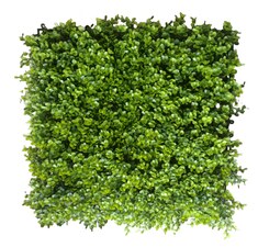 Vertikální zahrada Borówka FR UV