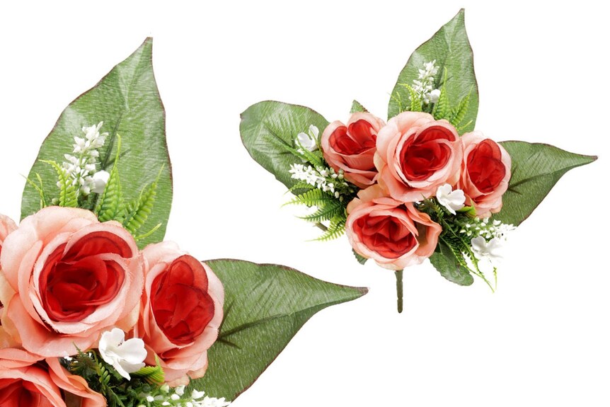 Růže, puget, KU4171