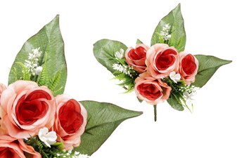 Růže, puget, KU4171