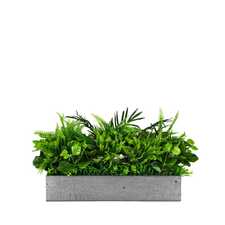 Výplň květináčů pro interiéry - White sparrow