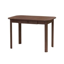 Stůl BONUS se zásuvkou 110x70 cm