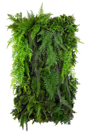 Vertikální zahrada Fern Cascade