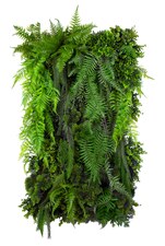 Vertikální zahrada Fern Cascade