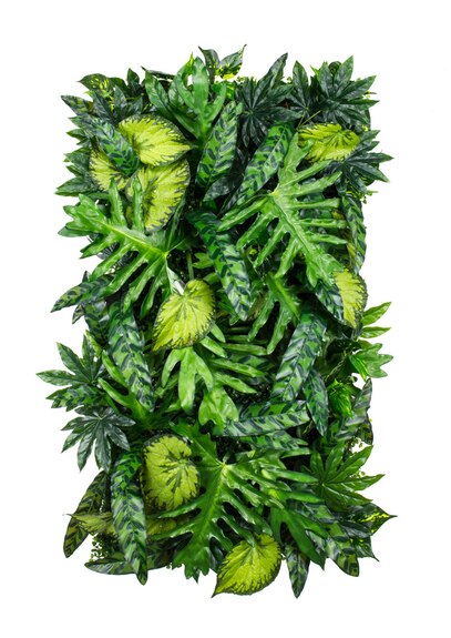 Vertikální zahrada Big Leafy