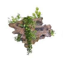 Skála s umělou vegetací M