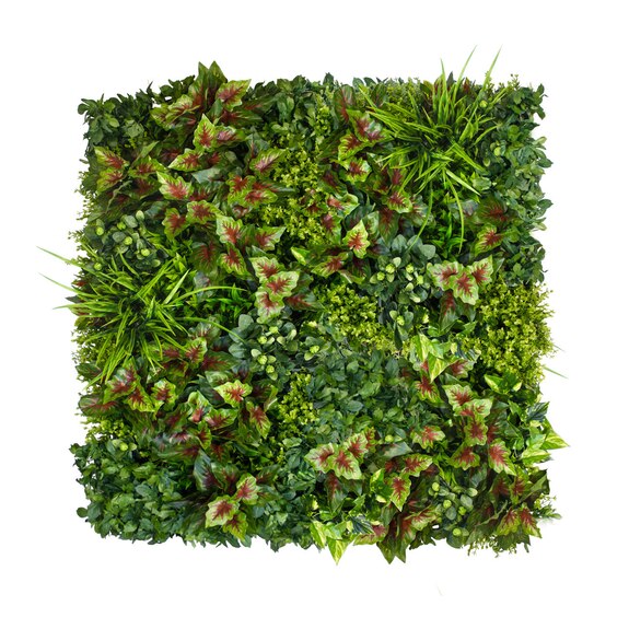 Vertikální zahrada Indian