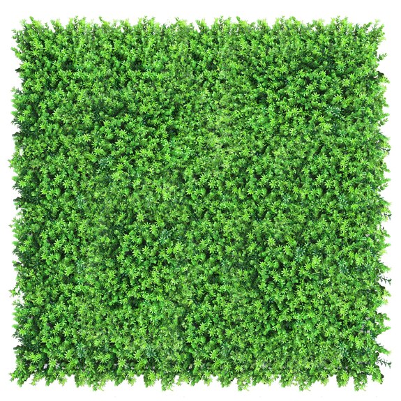 Vertikální zahrada Dobrzelka