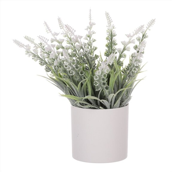 Vřes v obalu SG7328 šedivý