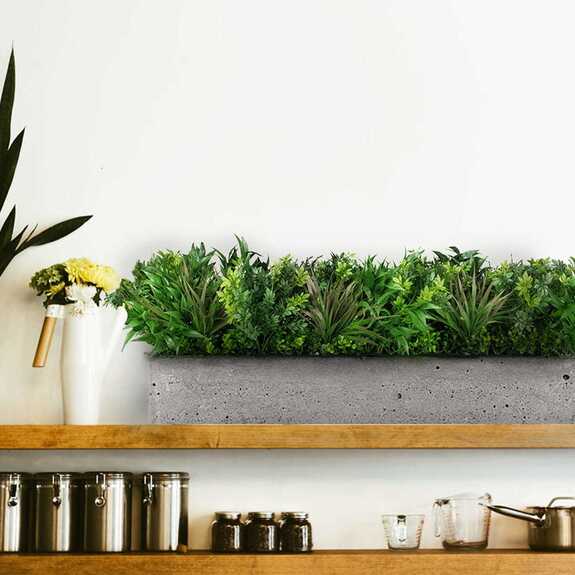 Výplň květináčů pro interiéry - Passerine FR