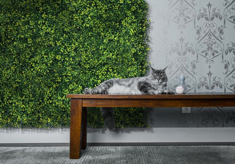 Vertikální zahrada Grain