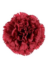 Karafiát KUM3420-BORDEAUX Květina umělá vazbová