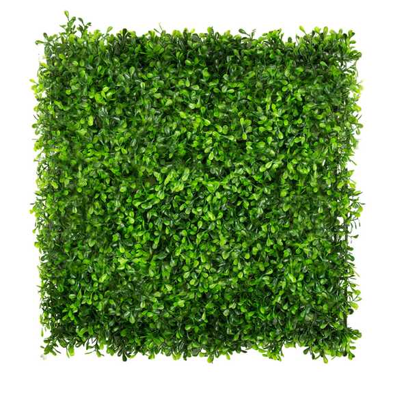 Vertikální zahrada Zelená třezalka