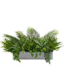 Výplň květináčů pro interiéry - Coast side