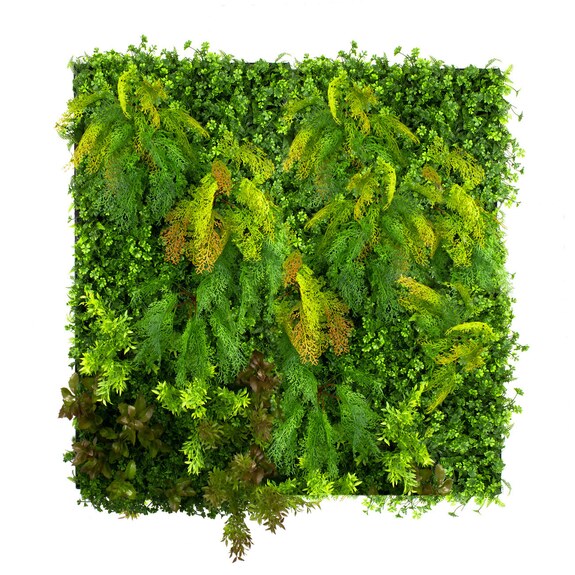 Vertikální zahrada Cloverland Summer