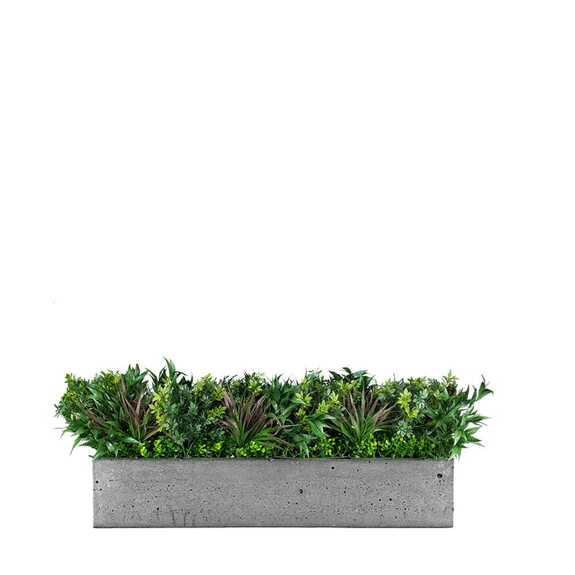 Výplň květináčů pro interiéry - Passerine FR