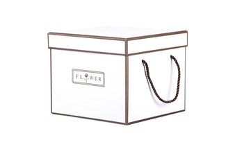 Flower box, papírový obal SF35176