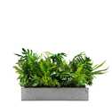 Výplň květináčů pro interiéry - Green crest
