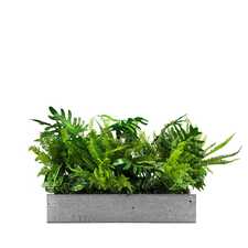 Výplň květináčů pro interiéry - Green crest