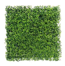 Vertikální zahrada Rzesa UV