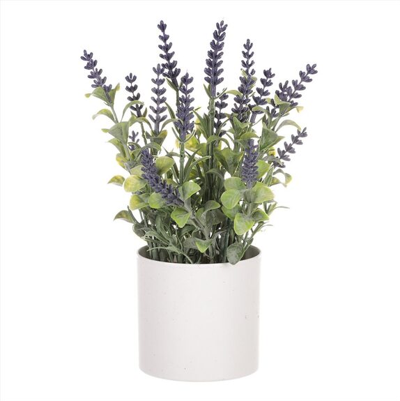 Levandule v obalu, bílý plastový obal SG7327