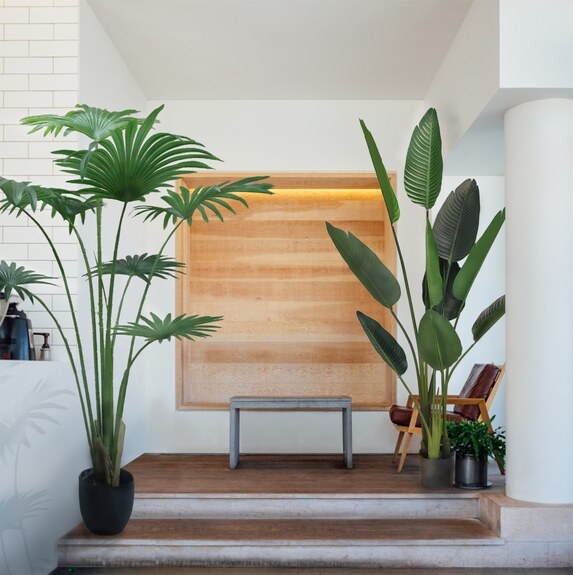 Umělý dekorativní strom - WASHINGTONIA
ROBUSTA GD4304