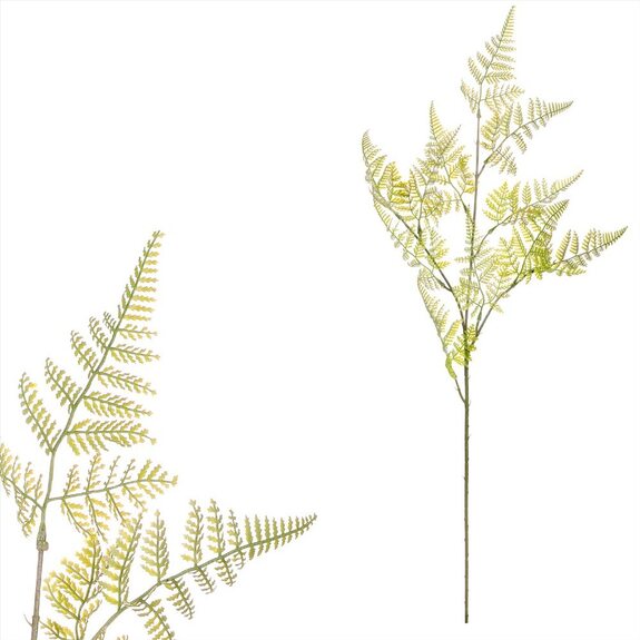 Kapradí - větvička KU4353