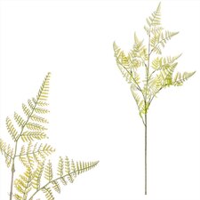 Kapradí - větvička KU4353