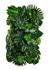 Vertikální zahrada Monstera Madness