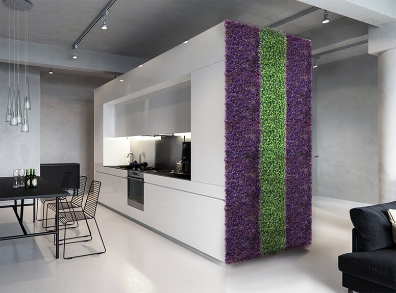 Vertikální zahrada Fialová fuchsie