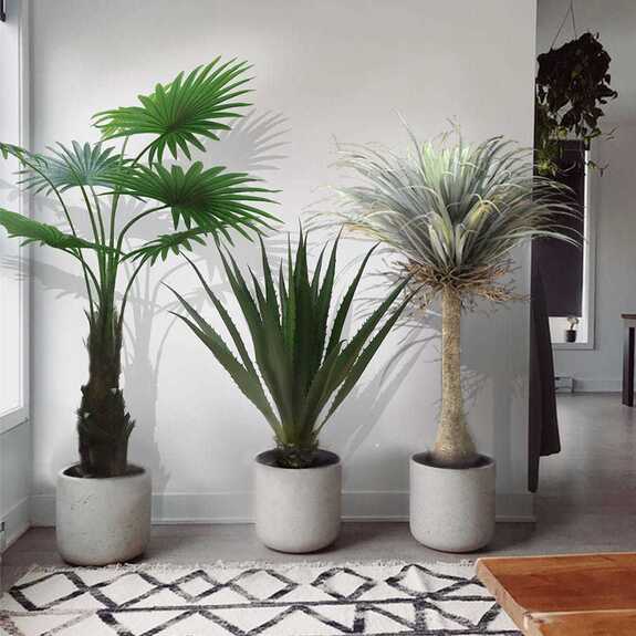 Umělý dekorativní strom - WASHINGTONIA
ROBUSTA GD4291