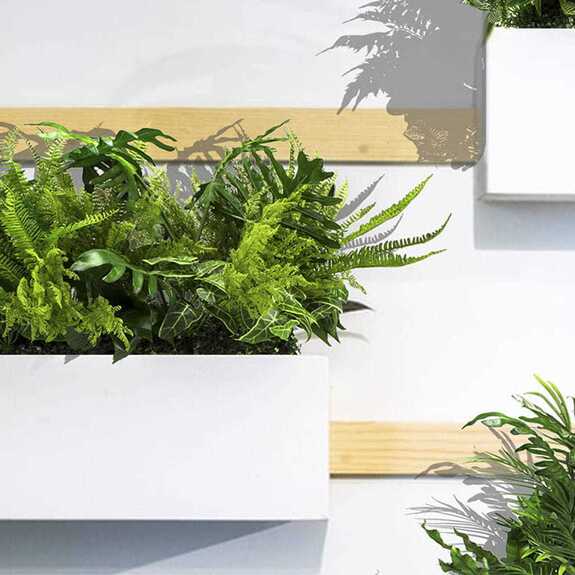 Výplň květináčů pro interiéry - Green crest