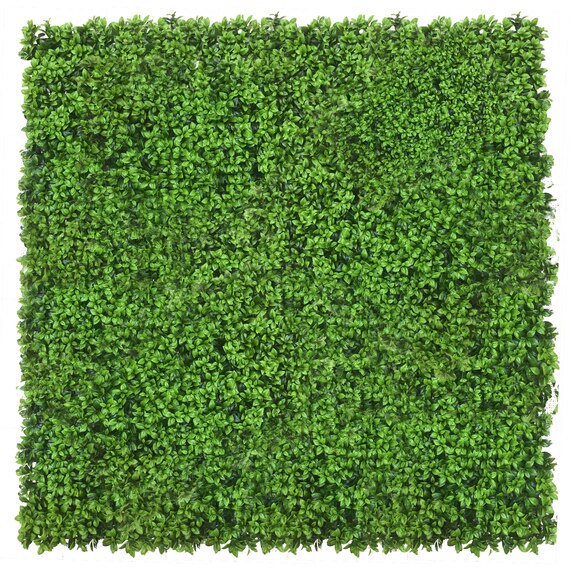 Vertikální zahrada Lebiodka