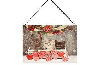 BD630 Obraz nástěnná svítící dekorace